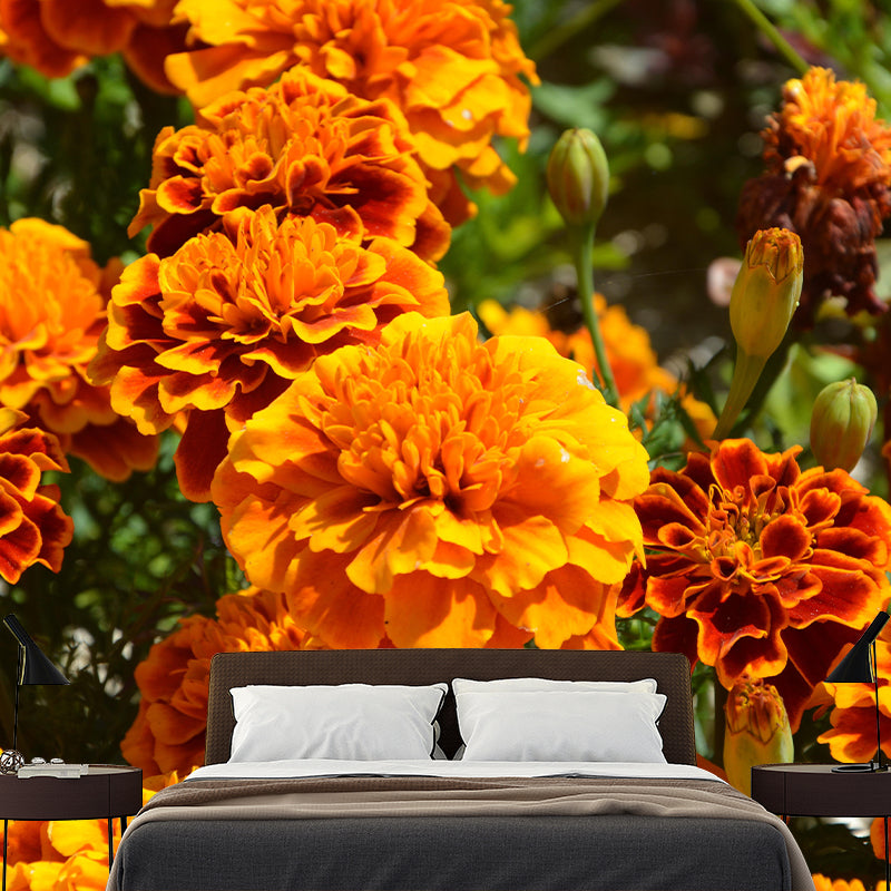 Photography Carnation Blossing Mural Wallpaper Modern Wall Covering for Living Room