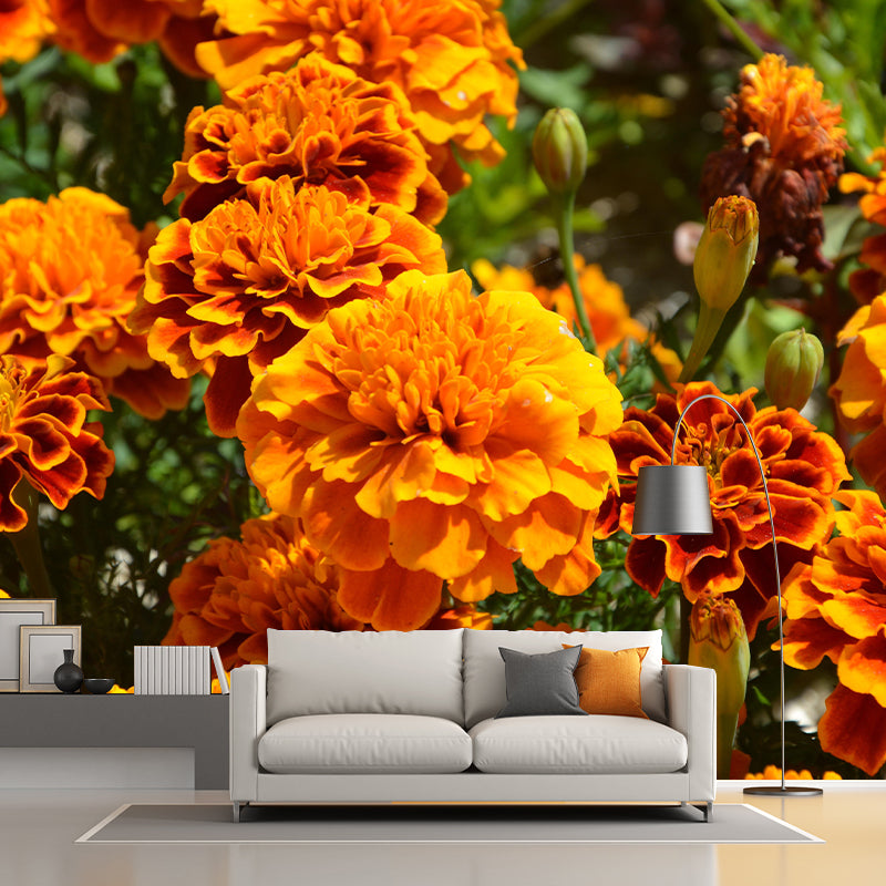 Photography Carnation Blossing Mural Wallpaper Modern Wall Covering for Living Room