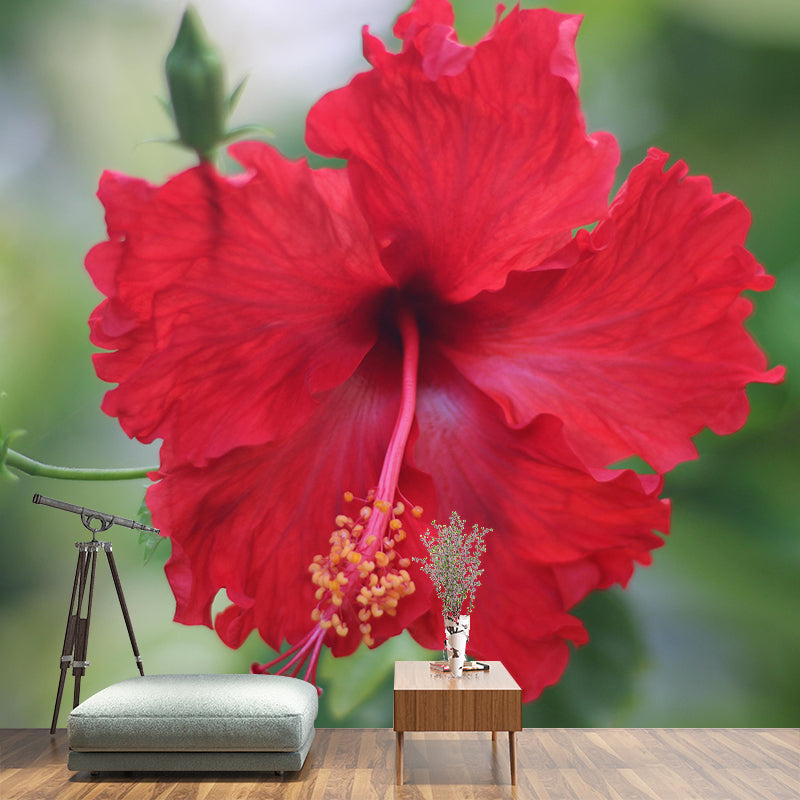 Photography Style Hibiscu Blossing Mural Wallpaper Modern Wall Covering for Living Room