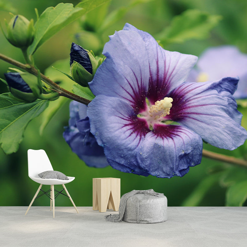 Photography Style Hibiscu Blossing Mural Wallpaper Modern Wall Covering for Living Room