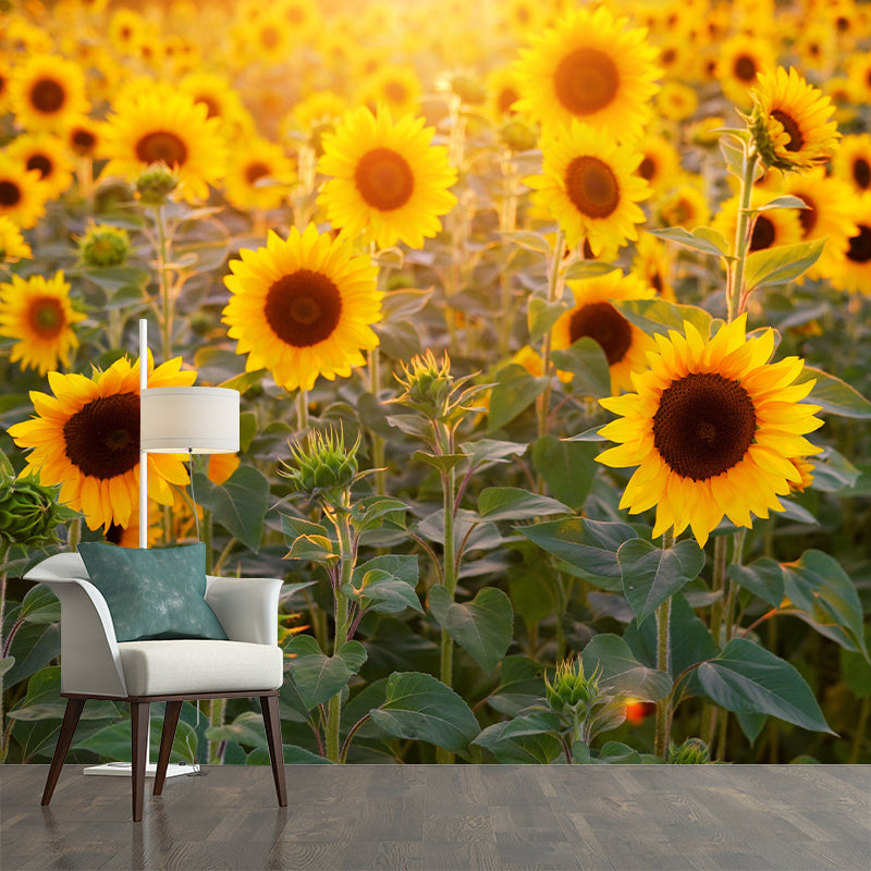 Photography Style Sunflower Blossing Mural Wallpaper Modern Wall Covering for Living Room