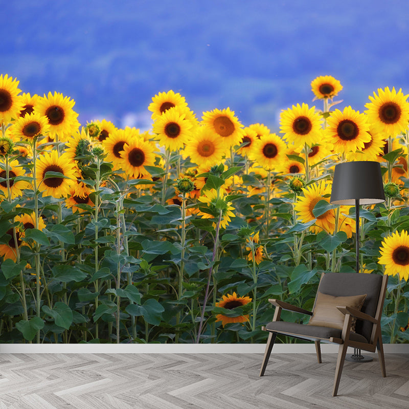 Photography Style Sunflower Blossing Mural Wallpaper Modern Wall Covering for Living Room