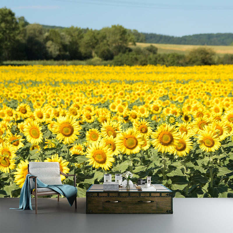 Photography Style Sunflower Blossing Mural Wallpaper Modern Wall Covering for Living Room