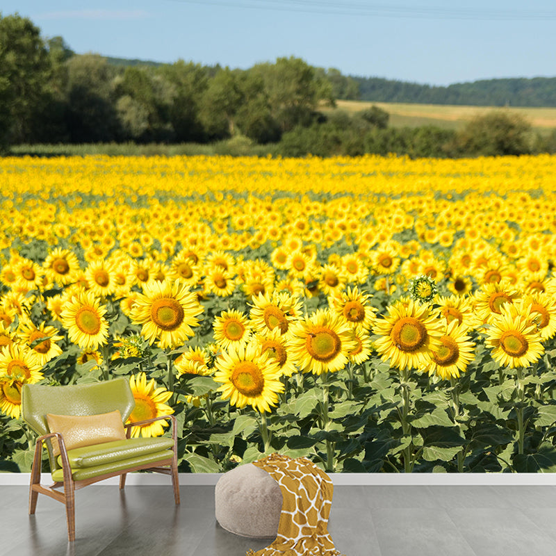 Photography Style Sunflower Blossing Mural Wallpaper Modern Wall Covering for Living Room