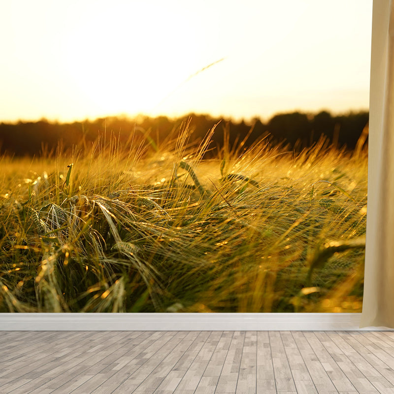 Modern Barley View Mural Wallpaper Light Color Wall Covering for Dining Room