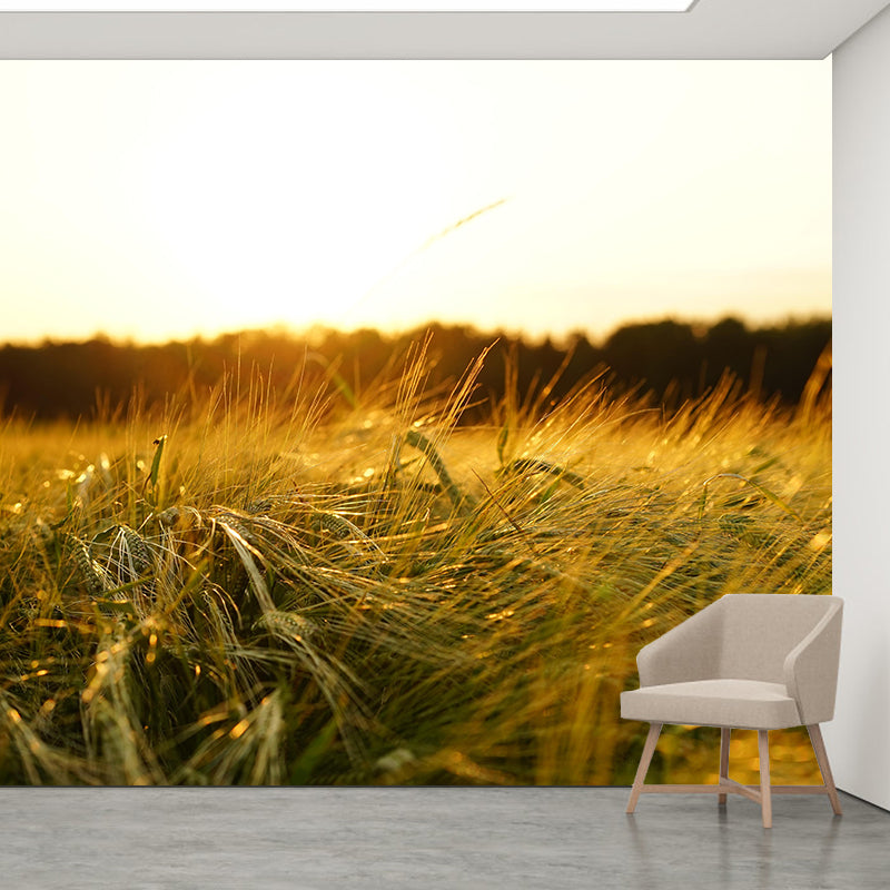 Modern Barley View Mural Wallpaper Light Color Wall Covering for Dining Room