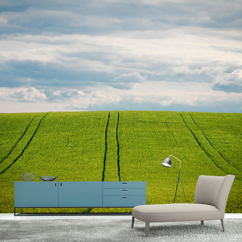 Modern Barley View Mural Wallpaper Light Color Wall Covering for Dining Room