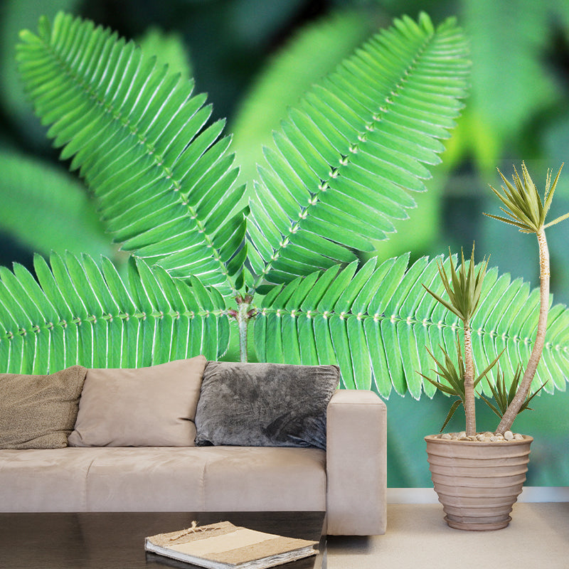 Contemporary Mimosa Home Mural Mildew Resistant Wall Decor for Bedroom