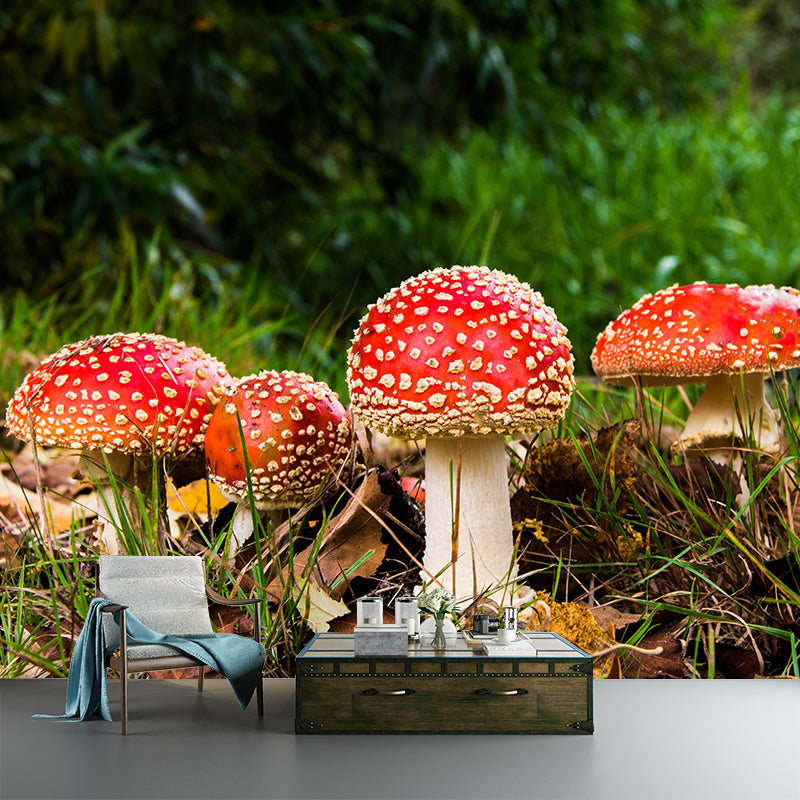 Contemporary Mushrooms  Home Mural Mildew Resistant Wall Decor for Bedroom