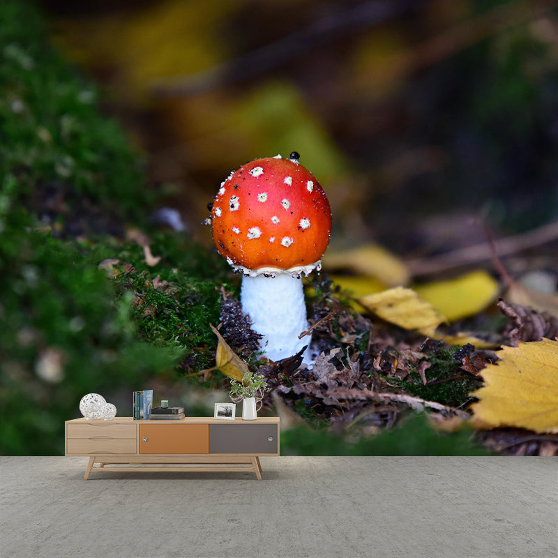 Contemporary Mushrooms  Home Mural Mildew Resistant Wall Decor for Bedroom
