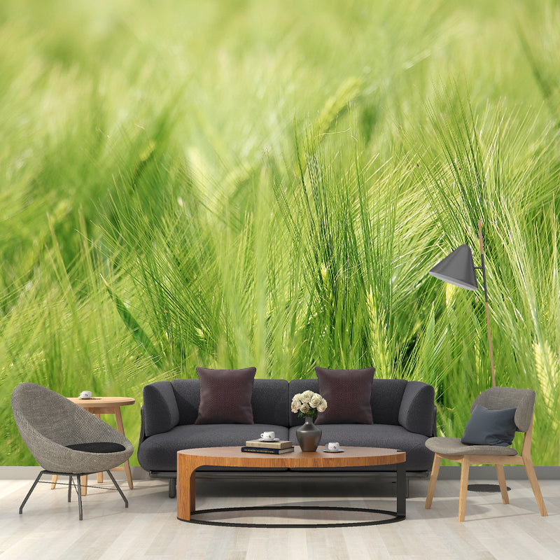 Relaxing Barley View Mural Wallpaper Pastel Color Modern Wall Covering for Drawing Room