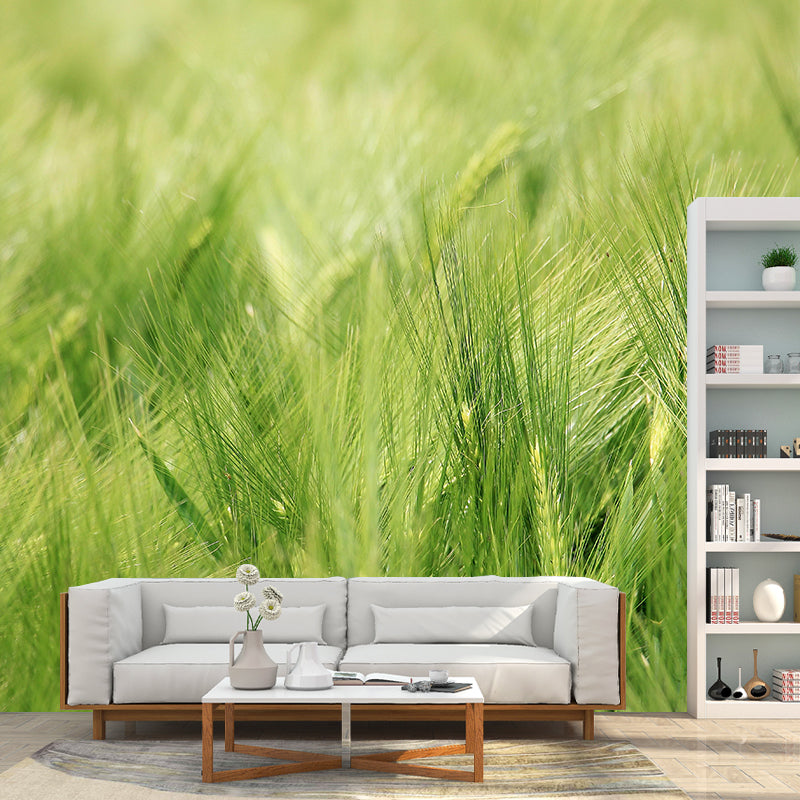 Relaxing Barley View Mural Wallpaper Pastel Color Modern Wall Covering for Drawing Room