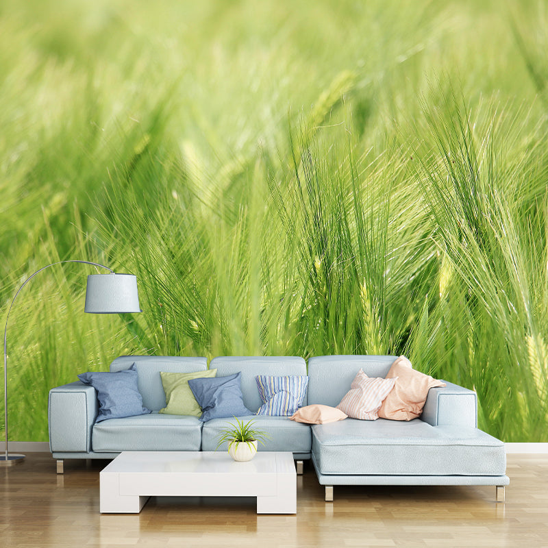 Relaxing Barley View Mural Wallpaper Pastel Color Modern Wall Covering for Drawing Room