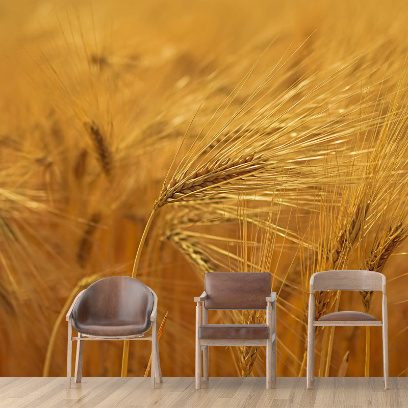 Relaxing Barley View Mural Wallpaper Pastel Color Modern Wall Covering for Drawing Room