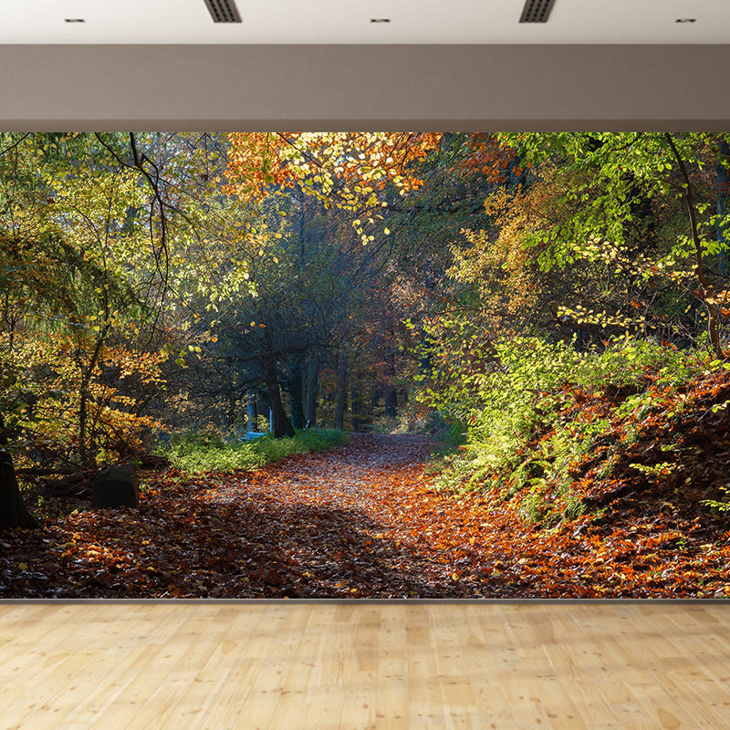 Contemporary Forest Landscape Home Mural Mildew Resistant Wall Decor for Bedroom