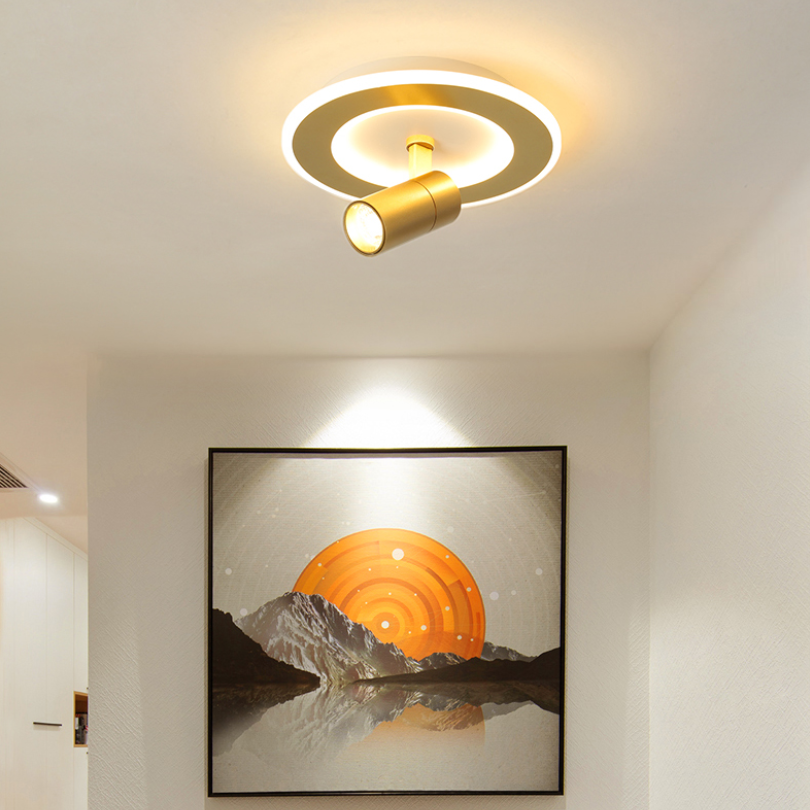 Modern LED Flush Mount 1 Spotlight Metal Ceiling Mounted Light for Hallway