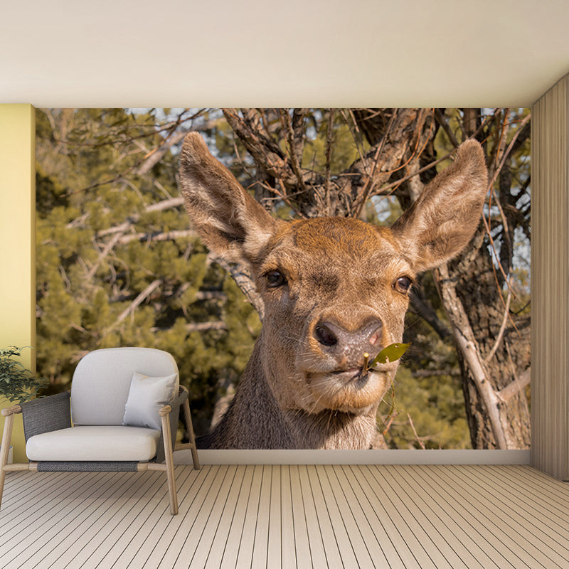 Deer Murals Moisture Resistant Classical Hallway Wall Decoration, Personalised Size