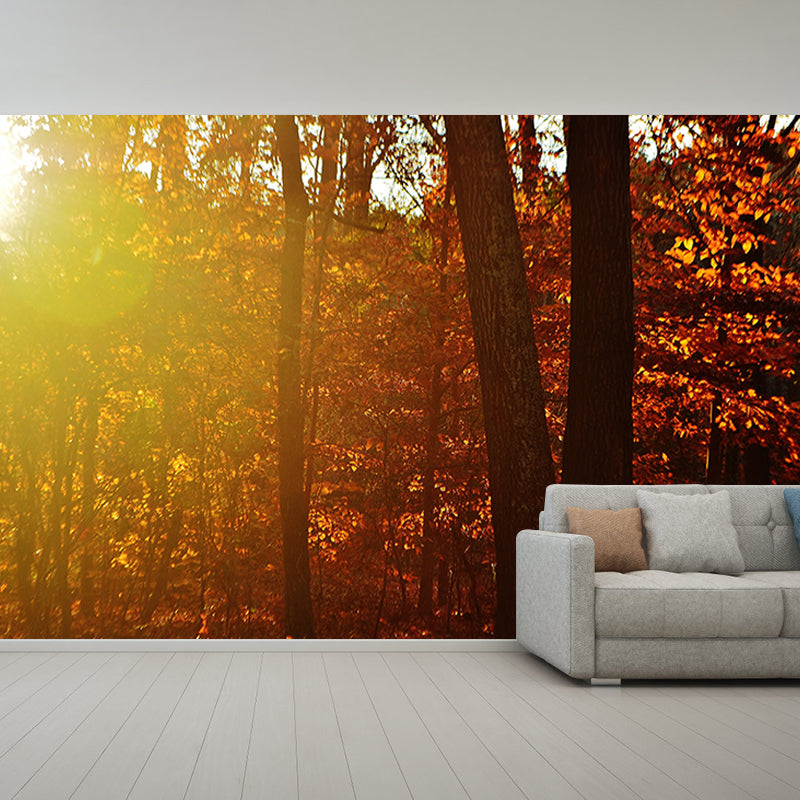 Forest Pattern Wallpaper Murals Moisture Resistant Modern Living Room Wall Covering