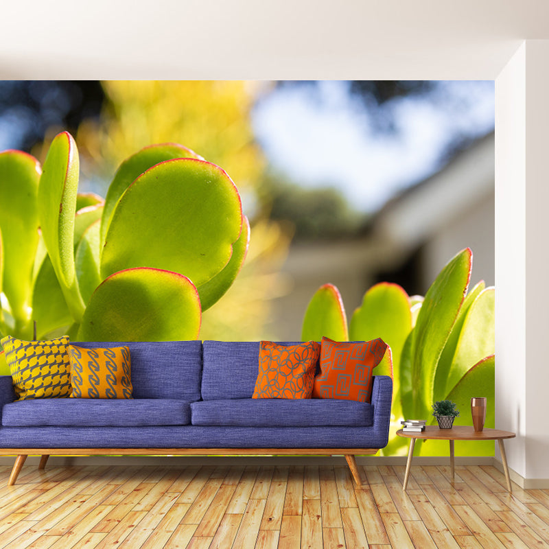 Succulent Plants Wall Mural for Modern Living Room Stain Resistant, Custom Size