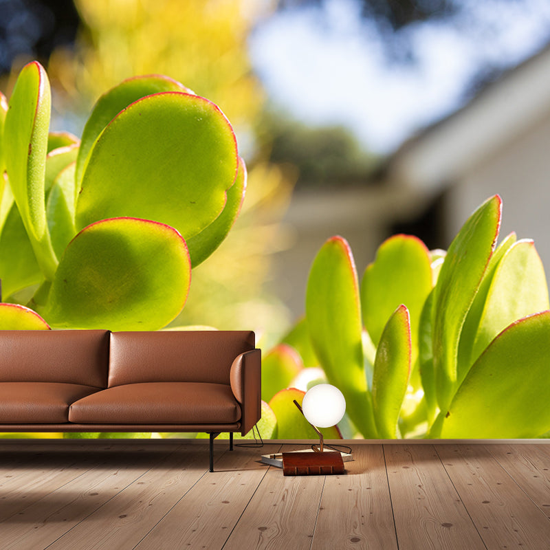 Succulent Plants Wall Mural for Modern Living Room Stain Resistant, Custom Size