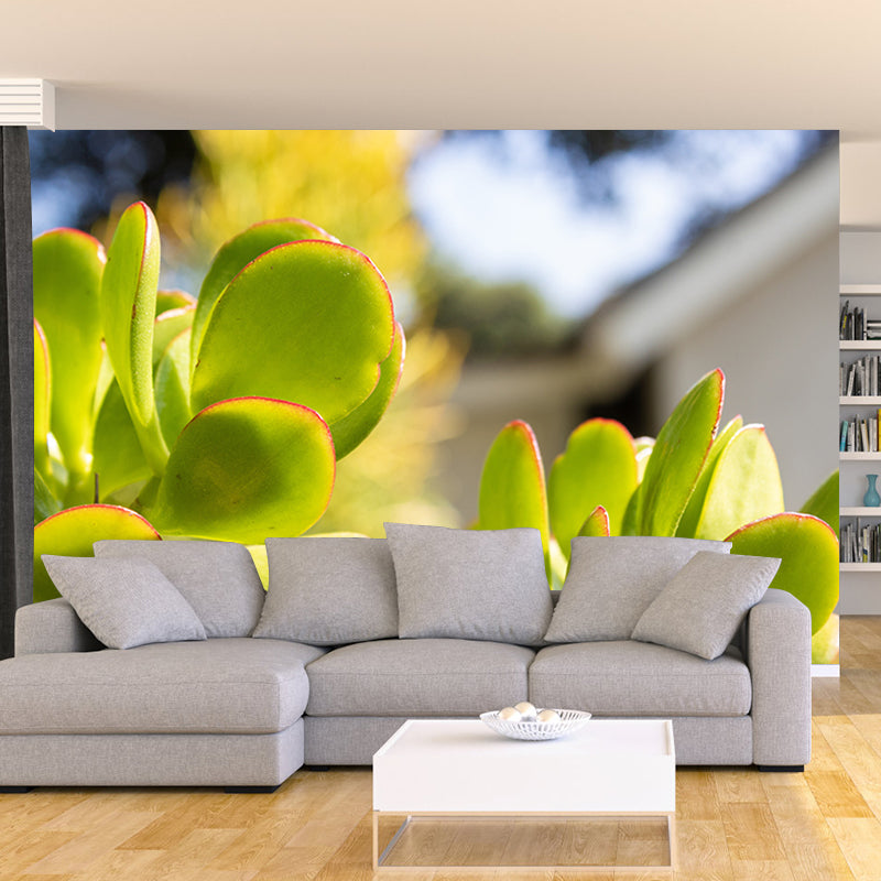 Succulent Plants Wall Mural for Modern Living Room Stain Resistant, Custom Size