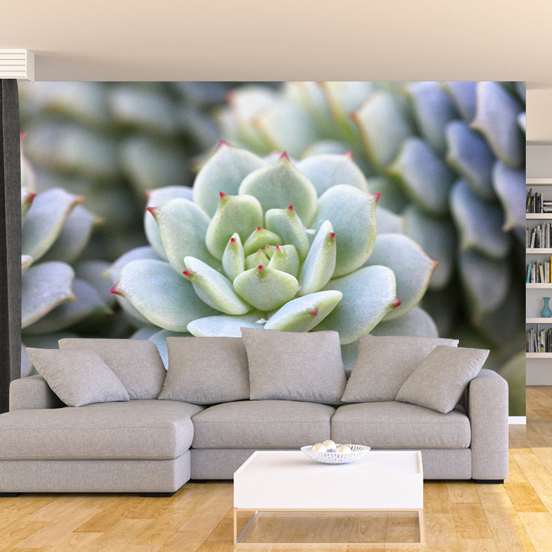 Succulent Plants Wall Mural for Modern Living Room Stain Resistant, Custom Size