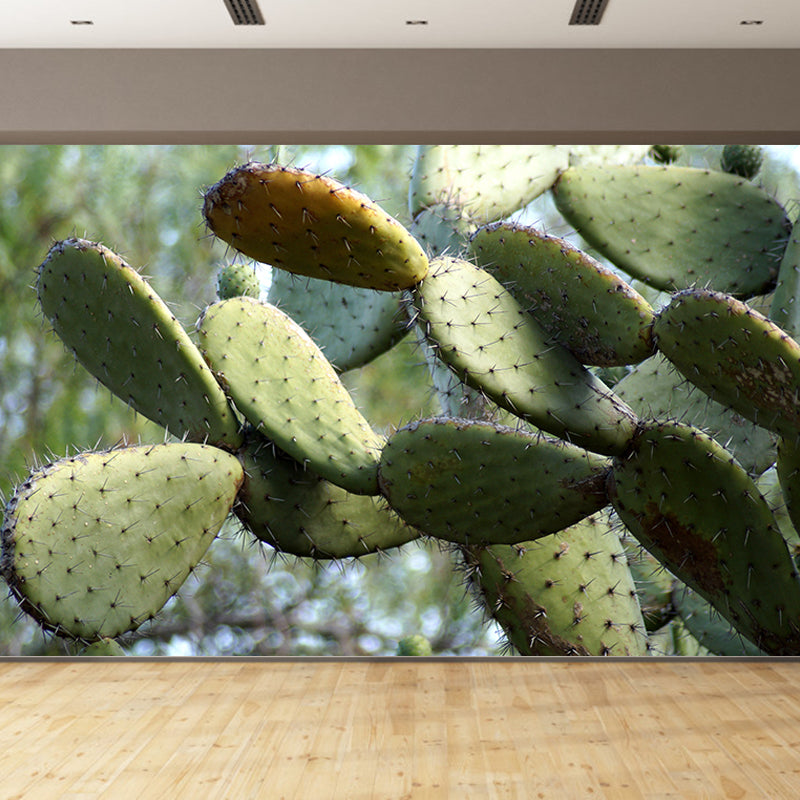 Tenacious Plant Wall Mural Big Wall Decor for House Interior, Custom Size