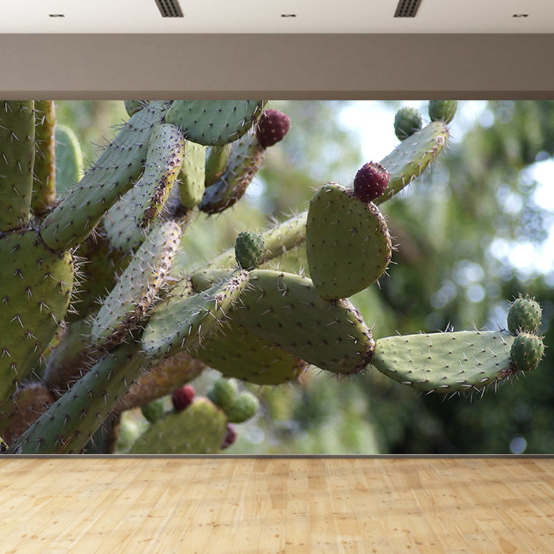 Tenacious Plant Wall Mural Big Wall Decor for House Interior, Custom Size