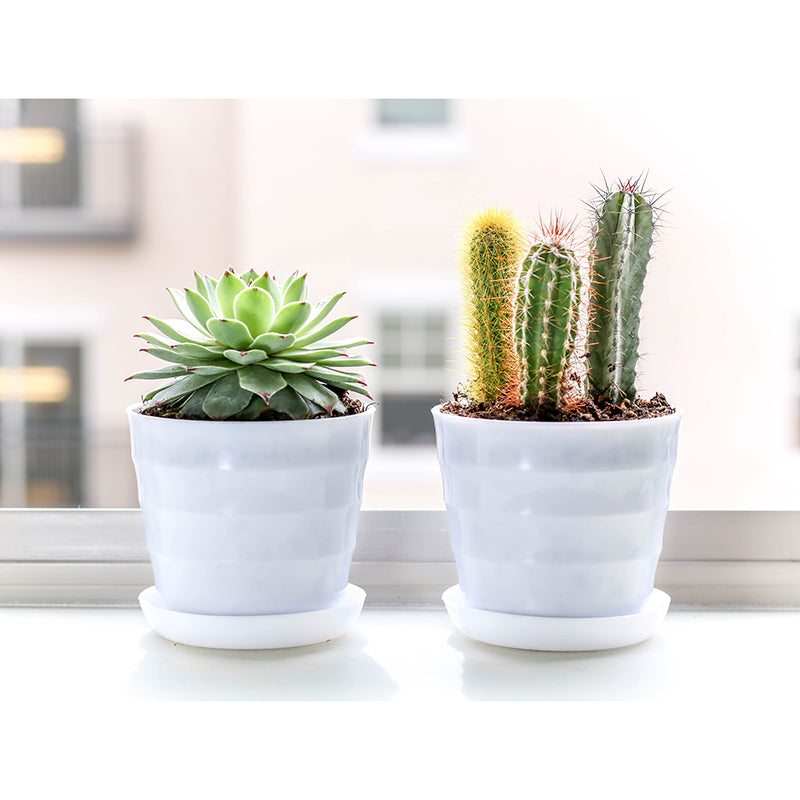 Green Plant Mural Wallpaper Home Decor Water Resistant Wallpaper for Dining Room