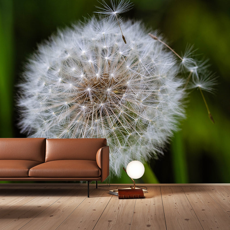 Dandelion Plant Mural Wallpaper Home Decor Water Resistant Wallpaper for Living Room