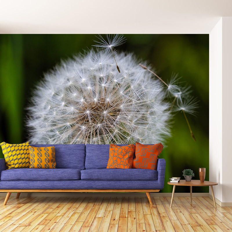Dandelion Plant Mural Wallpaper Home Decor Water Resistant Wallpaper for Living Room