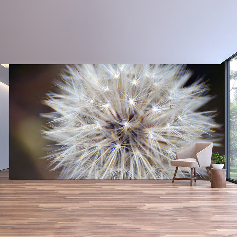 Dandelion Plant Mural Wallpaper Home Decor Water Resistant Wallpaper for Living Room