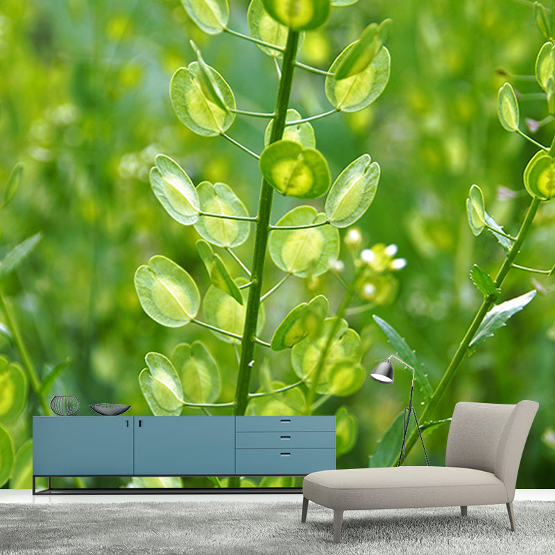 Grass Plants Wall Mural Water Resistant Wall Decor for Bedroom, Custom Size Available