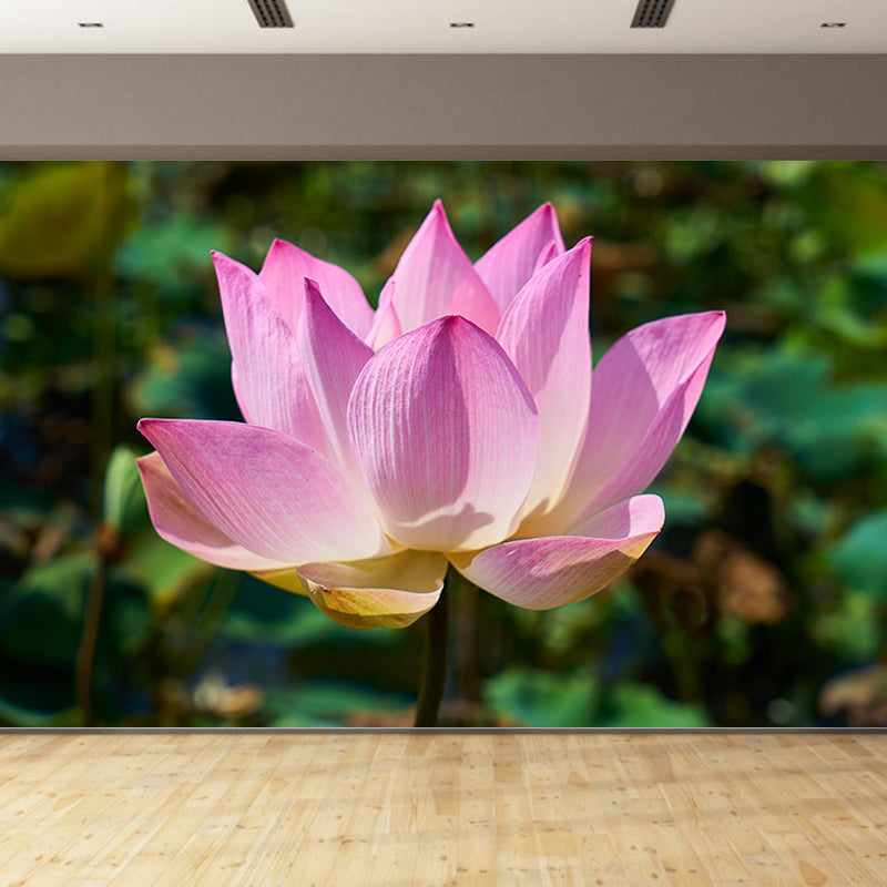Lotus Flower Murals for Living Room Personalized Wall Decor, Moisture Resistant