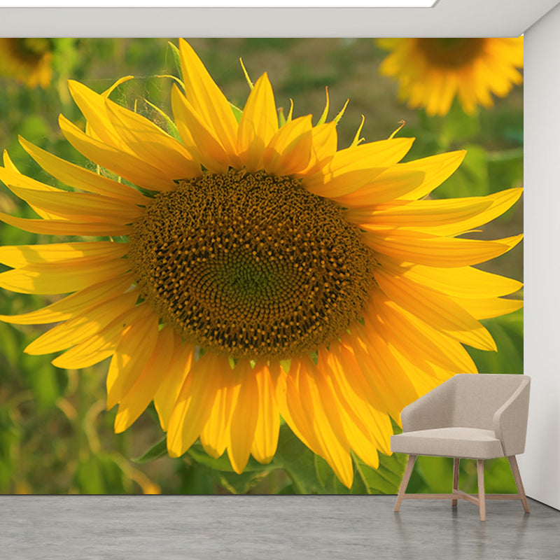 Blooming Sunflower Wall Mural Moisture Resistant Wall Decor for Bedroom