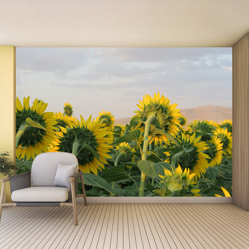 Blooming Sunflower Wall Mural Moisture Resistant Wall Decor for Bedroom