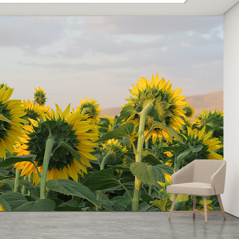 Blooming Sunflower Wall Mural Moisture Resistant Wall Decor for Bedroom