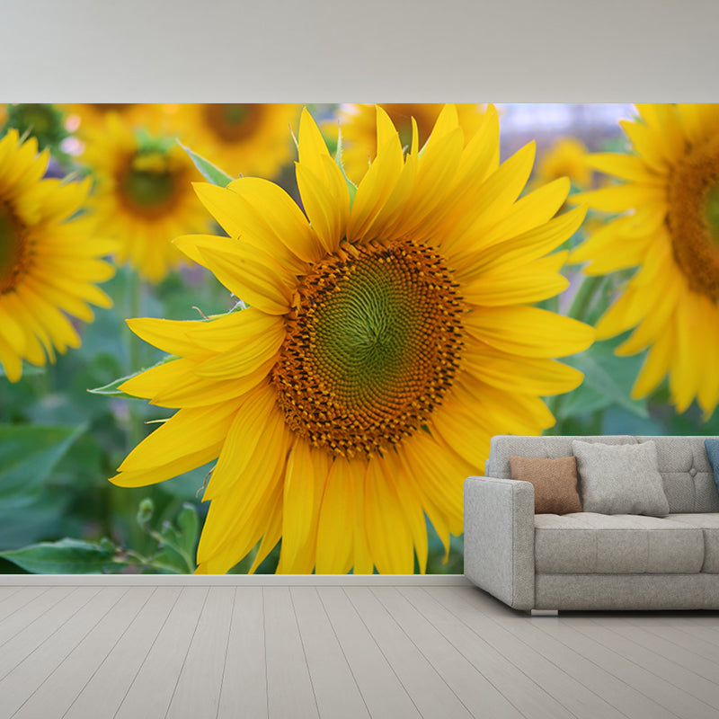 Blooming Sunflower Wall Mural Moisture Resistant Wall Decor for Bedroom