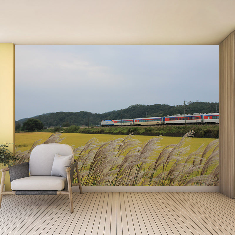 Modern Transportation Wall Covering Stain Resistant Living Room Wall Decor