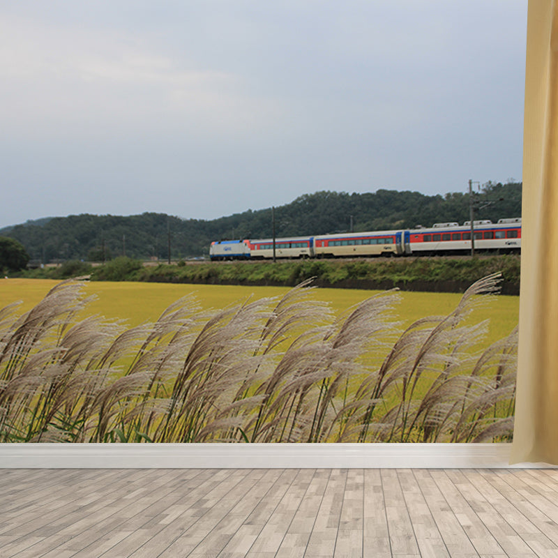 Modern Transportation Wall Covering Stain Resistant Living Room Wall Decor