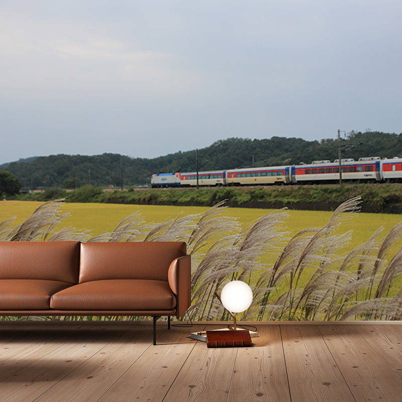 Modern Transportation Wall Covering Stain Resistant Living Room Wall Decor