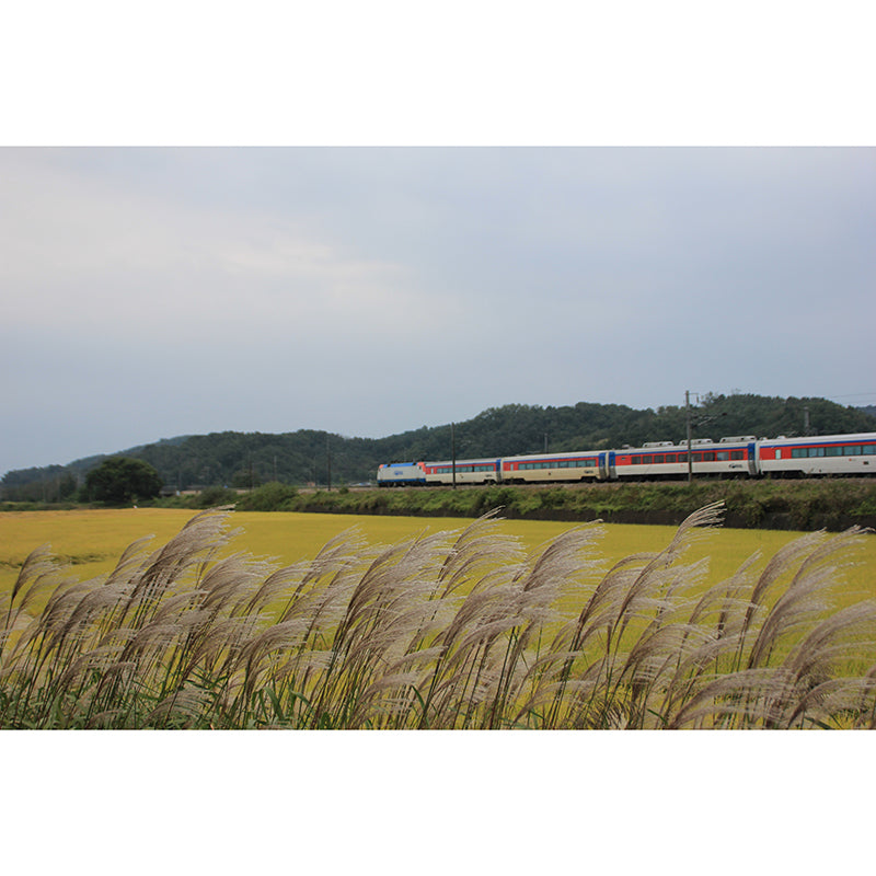 Modern Transportation Wall Covering Stain Resistant Living Room Wall Decor