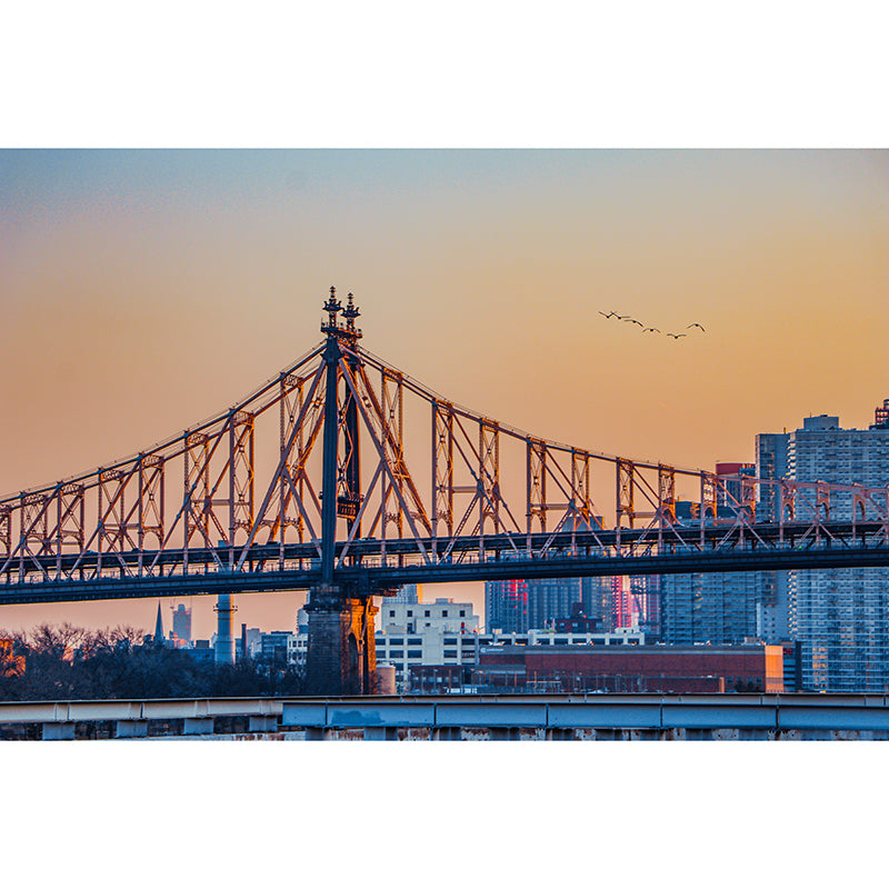 Developed City Wall Mural Decal for Meeting Room Stain Resistant, Personalized Size