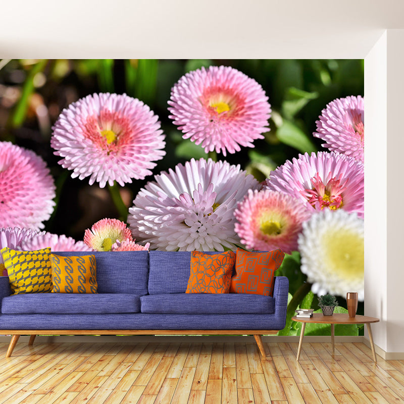 Dahlia Flower Wallpaper Mural Waterproofing
Living Room Wall Decoration