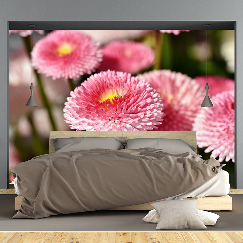 Dahlia Flower Wallpaper Mural Waterproofing
Living Room Wall Decoration