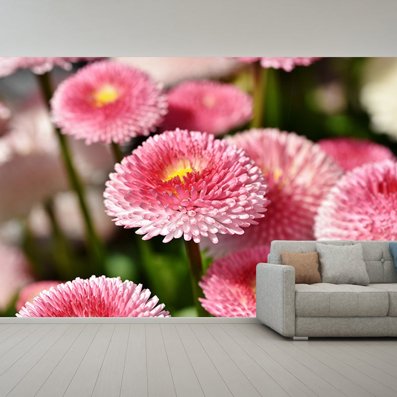 Dahlia Flower Wallpaper Mural Waterproofing
Living Room Wall Decoration