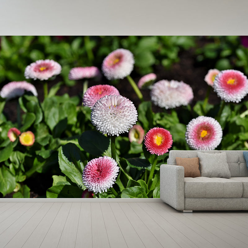 Dahlia Flower Wallpaper Mural Waterproofing
Living Room Wall Decoration