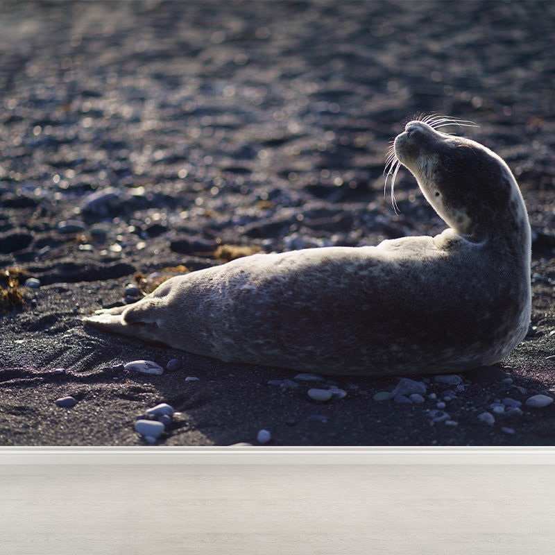 Lovely Seal Wall Paper Murals Contemporary Style Photography for Home Decor