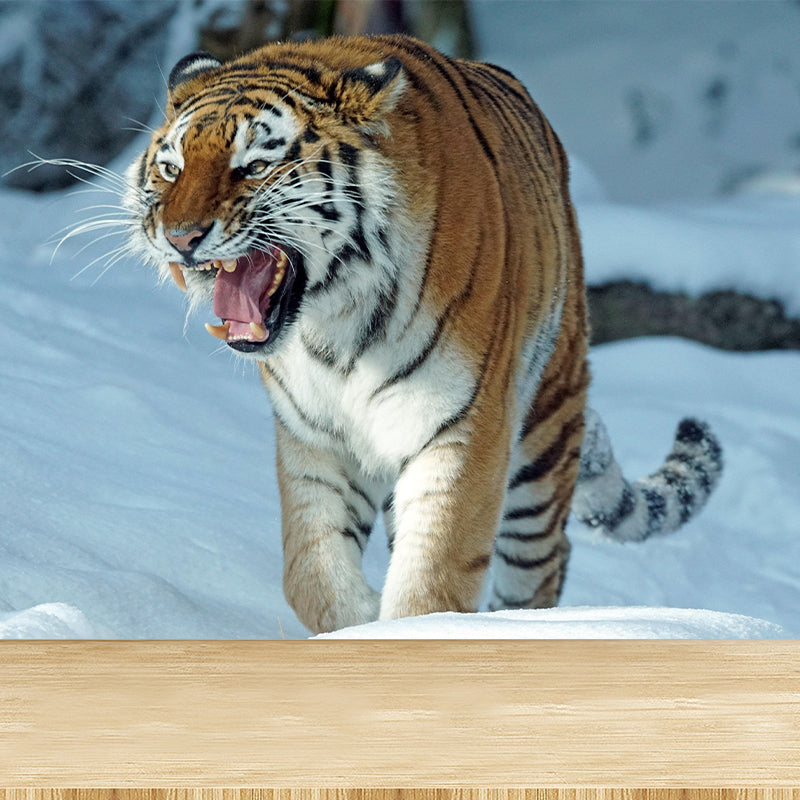 Customized Tiger Wall Paper Murals Mildew Resistant Living Room Wall Decor