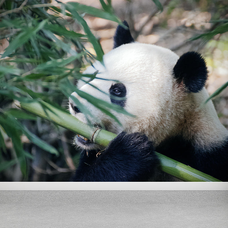 Customized Panda Wall Paper Murals Mildew Resistant Living Room Wall Decor